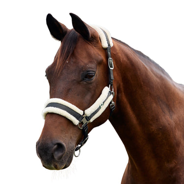Dublin Soft Fit Headcollar| Online For Equine