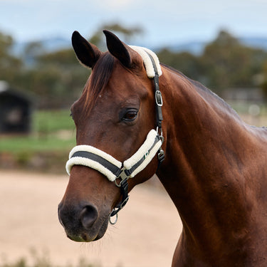 Dublin Soft Fit Headcollar| Online For Equine