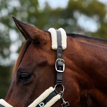 Dublin Soft Fit Headcollar| Online For Equine