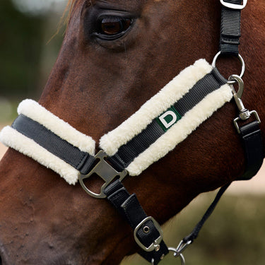 Dublin Soft Fit Headcollar| Online For Equine