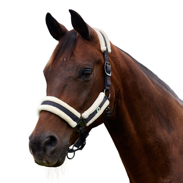 Dublin Soft Fit Headcollar| Online For Equine