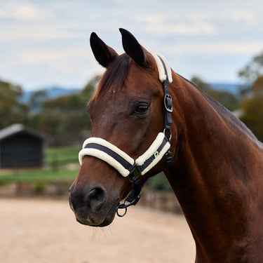 Dublin Soft Fit Headcollar| Online For Equine