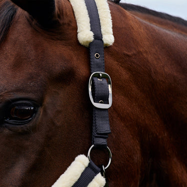 Dublin Soft Fit Headcollar| Online For Equine