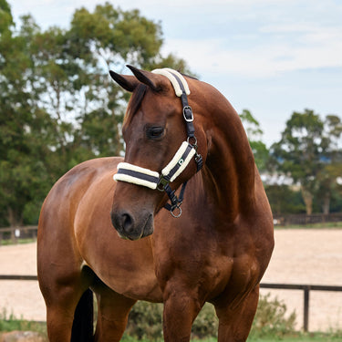 Dublin Soft Fit Headcollar| Online For Equine