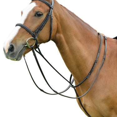 Dublin Standing Martingale| Online For Equine