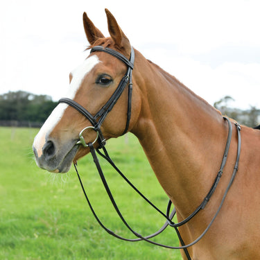 Dublin Standing Martingale| Online For Equine