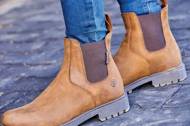 Buy Dublin Venturer Boots III| Online for Equine