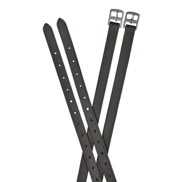Dublin Web Back Stirrup Leathers| Online For Equine
