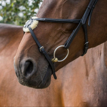 EcoRider Brown Freedom Grackle Noseband