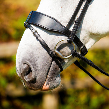 EcoRider Brown Freedom Show Comfort Noseband