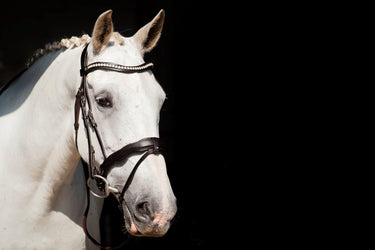 EcoRider Brown Navan v2.0 Bridle