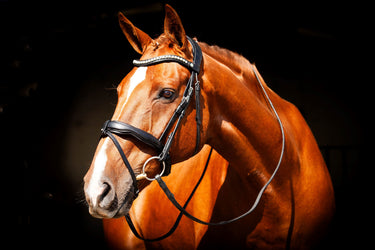 EcoRider Brown Navan v2.0 Bridle