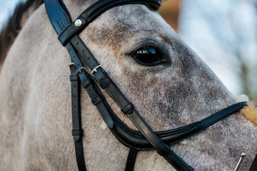 Eco-Rider SeamFree Grackle Bridle Black| Online For Equine