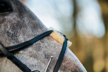 Eco-Rider SeamFree Grackle Bridle Black| Online For Equine