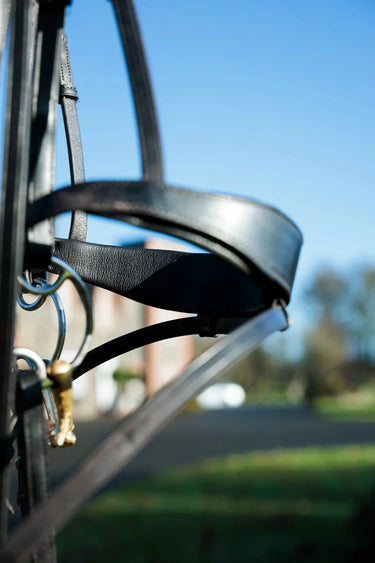 Eco-Rider Seamfree Show Bridle Black| Online For Equine