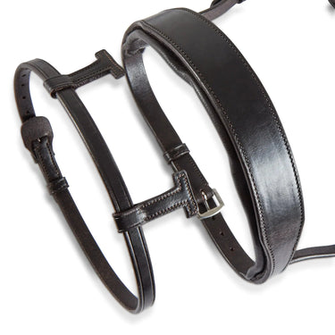 Eco-Rider Seamfree Show Bridle Brown| Online For Equine