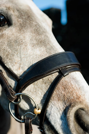 Eco-Rider Seamfree Show Bridle Brown| Online For Equine