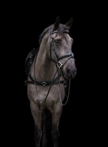 EcoRider Black Ecosoft Luxe Headpiece| Online For Equine