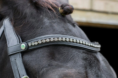EcoRider Black Freedom Browband| Online For Equine