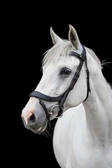 EcoRider Black Freedom Comfort Bridle| Online For Equine