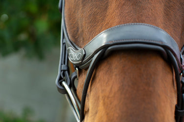 EcoRider Black Freedom Comfort Bridle| Online For Equine