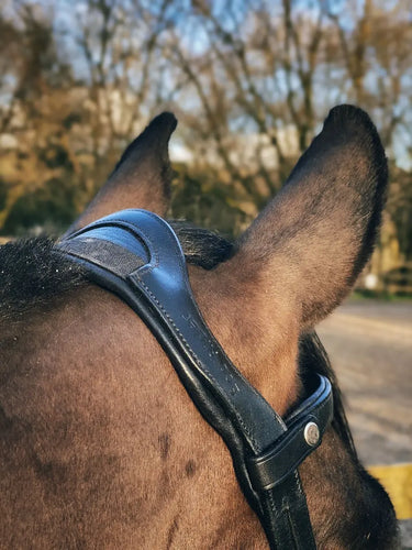 Buy EcoRider Freedom Jump Bridle| Online for Equine