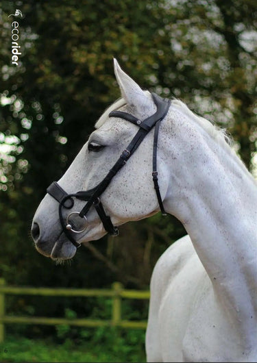 Buy EcoRider Freedom Jump Bridle| Online for Equine