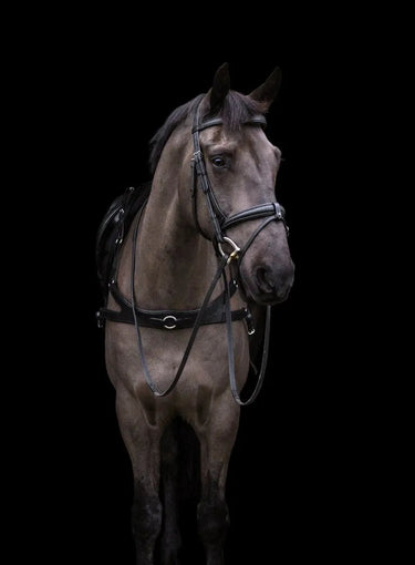 Buy EcoRider Classic Comfort Bridle| Online for Equine