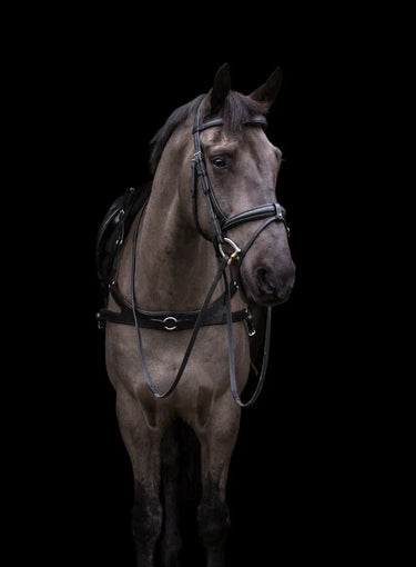 Buy EcoRider Classic Comfort Bridle| Online for Equine
