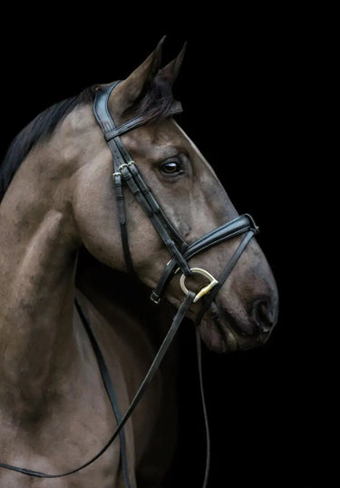 Buy EcoRider Classic Comfort Bridle| Online for Equine
