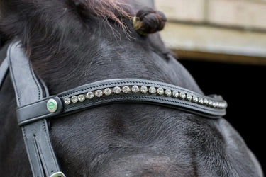 EcoRider Black Freedom Browband| Online For Equine