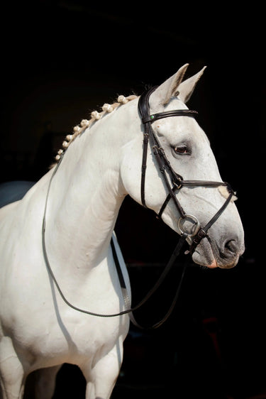 EcoRider Black Galway v2.0 Bridle| Online For Equine