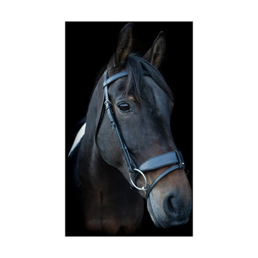 Buy EcoRider Classic Show Comfort Bridle| Online for Equine