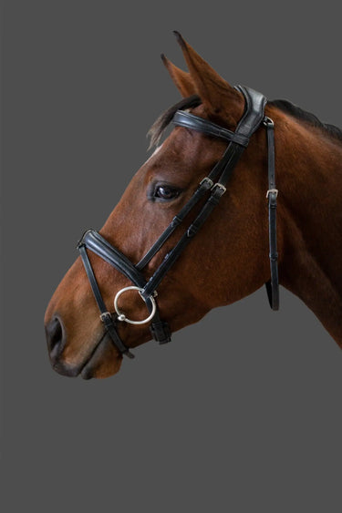 Buy EcoRider Ecolux Anatomical Bridle| Online for Equine
