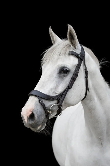Buy EcoRider Freedom Comfort Bridle| Online for Equine