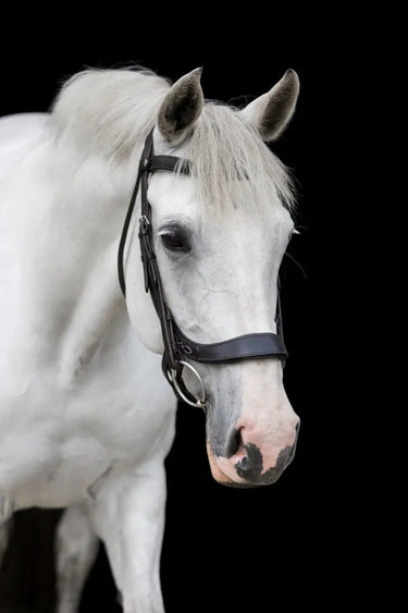 Buy EcoRider Freedom Comfort Bridle| Online for Equine