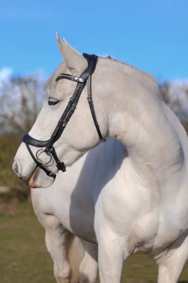Buy EcoRider Freedom Comfort Bridle| Online for Equine