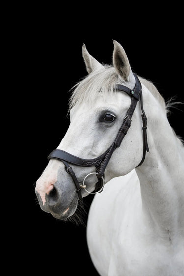 Buy EcoRider Freedom Comfort Bridle| Online for Equine