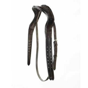 EcoRider Perfect Fit Anatomic Headpiece| Online For Equine