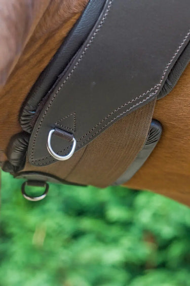 Buy Ecorider Freedom Anatomic Girth| Online for Equine