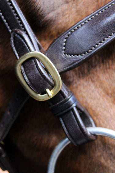 Buy Ecorider Classic Inhand Bridle| Online for Equine