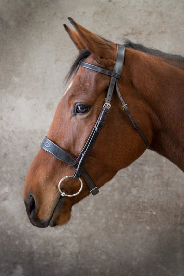 Buy Ecorider Classic Show Bridle| Online for Equine