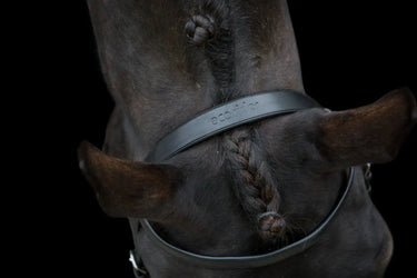 Buy Ecorider Classic Show Bridle| Online for Equine