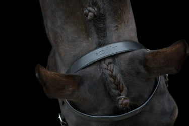 Buy Ecorider Classic Show Bridle| Online for Equine