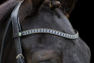 Buy Ecorider Freedom Sapphire Browband| Online for Equine