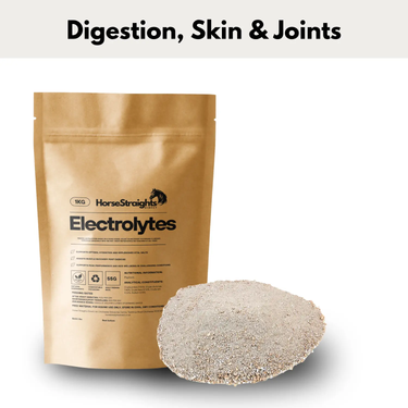 Electrolytes| Online For Equine