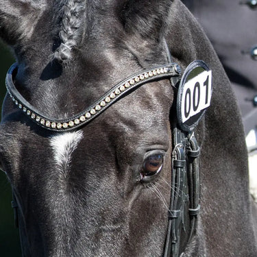 Buy Equetech Bridle Competition Numbers| Online for Equine