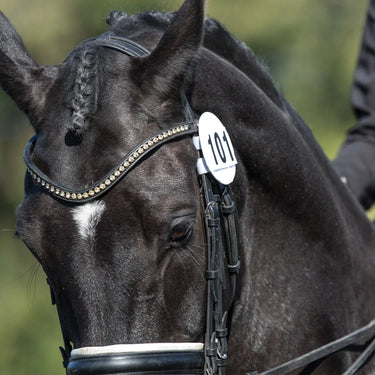 Buy Equetech Bridle Competition Numbers| Online for Equine