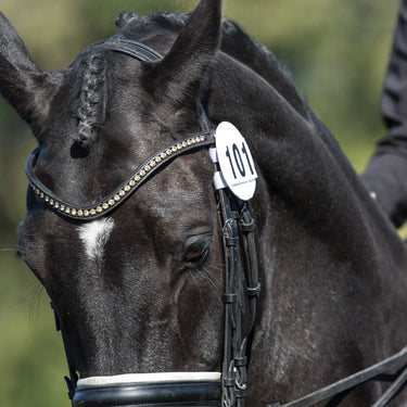 Buy Equetech Bridle Competition Numbers| Online for Equine