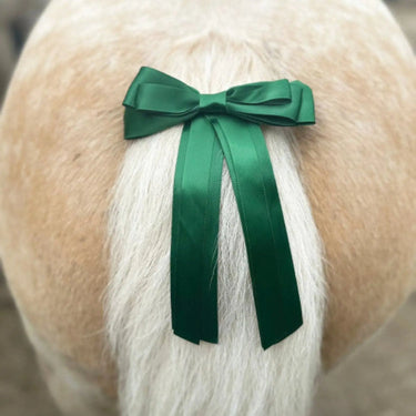 Buy the Equetech Green Horse Competition Warning Tail Ribbon | Online for Equine